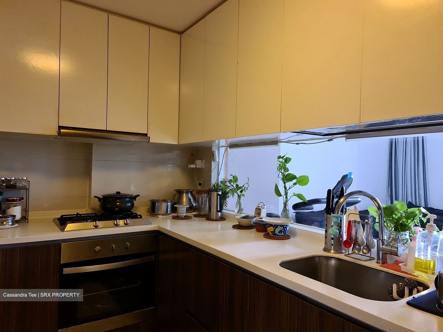 La Fiesta (D19), Condominium #355164051